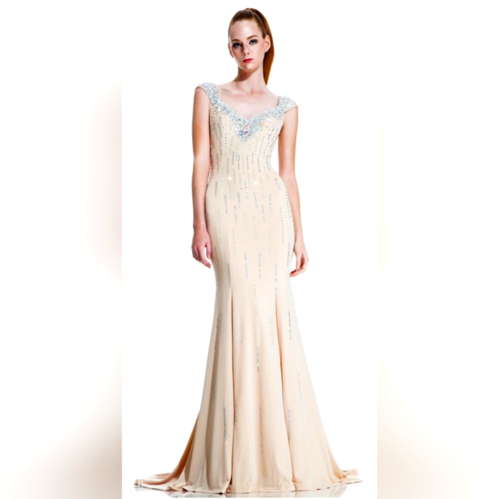 Jonathan Kayne Champaign size 8